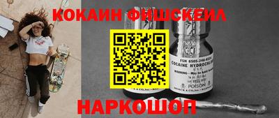 стаф Славгород