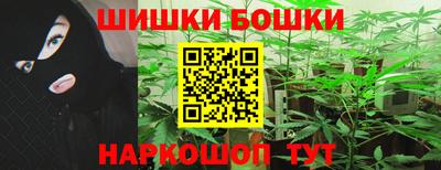 стаф Славгород