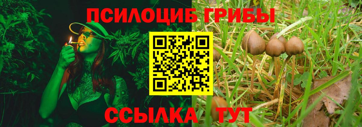 Обь  Галлюциногенные грибы ЛСД  Вход с VPN 