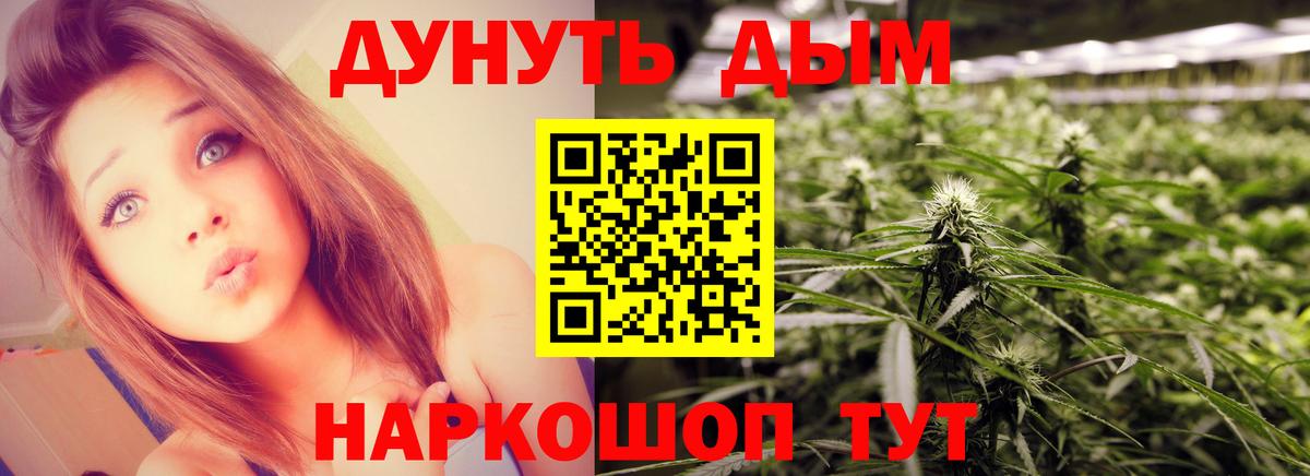 Бошки Шишки сатива Обь